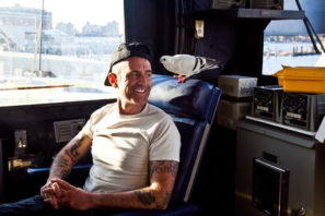 2000 pigeons will put on a light show in Brooklyn